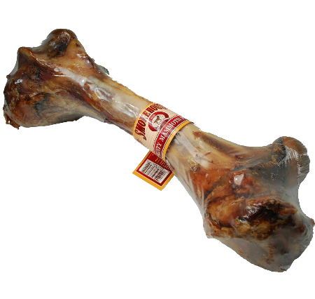 Picture of mammoth bone